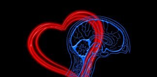 Inteligenta emotionala (EQ)