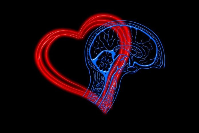 Inteligenta emotionala (EQ) Inteligenta emotionala (EQ)