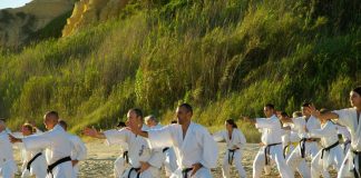 Rolul artelor martiale in sanatate Rolul artelor martiale in sanatate