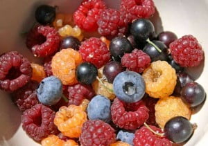 Fructe de padure