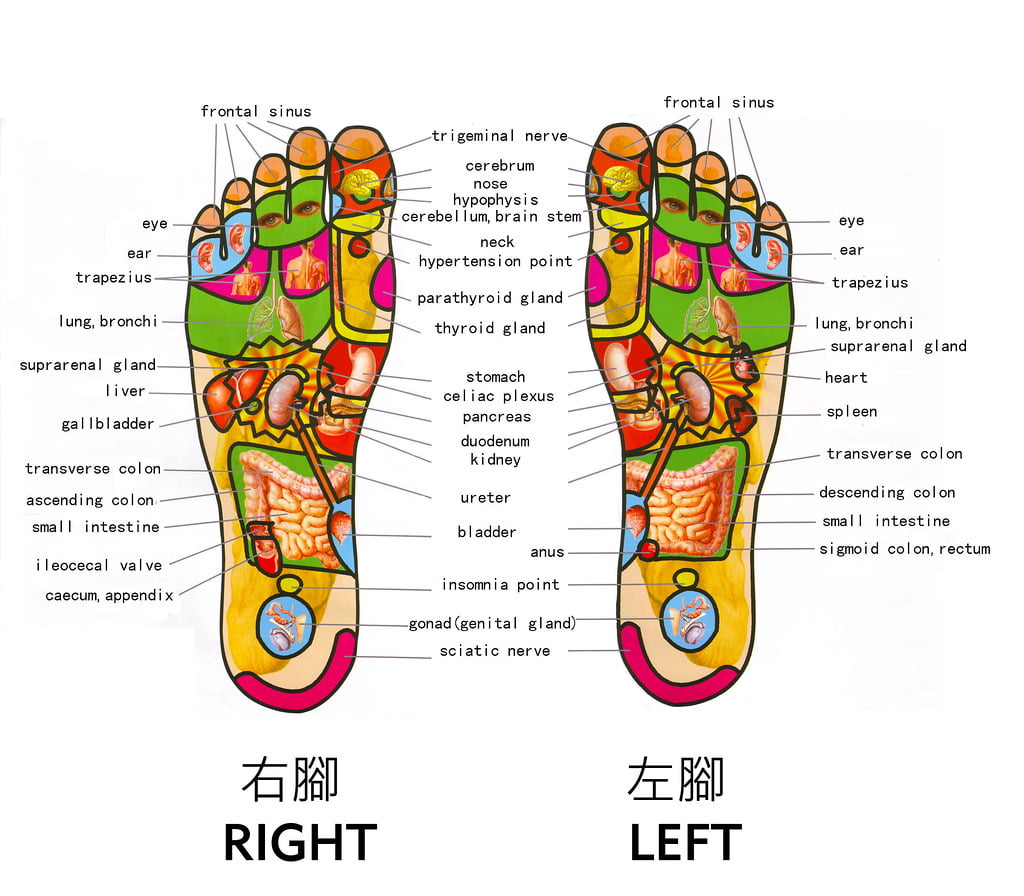 reflexoterapia