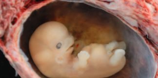 Ce efecte poate avea avortul spontan asupra părinților