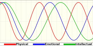 Cum se definește bioritmul și care sunt avantajele autocunoașterii