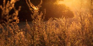 Alergia la soare si implicatiile ei - Ce se intampla atunci cand ne expunem la radiatiile ultraviolete