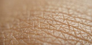 Regenerarea pielii Regenerarea pielii