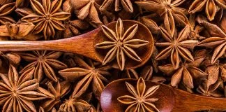 Anasonul: medicament sau condiment