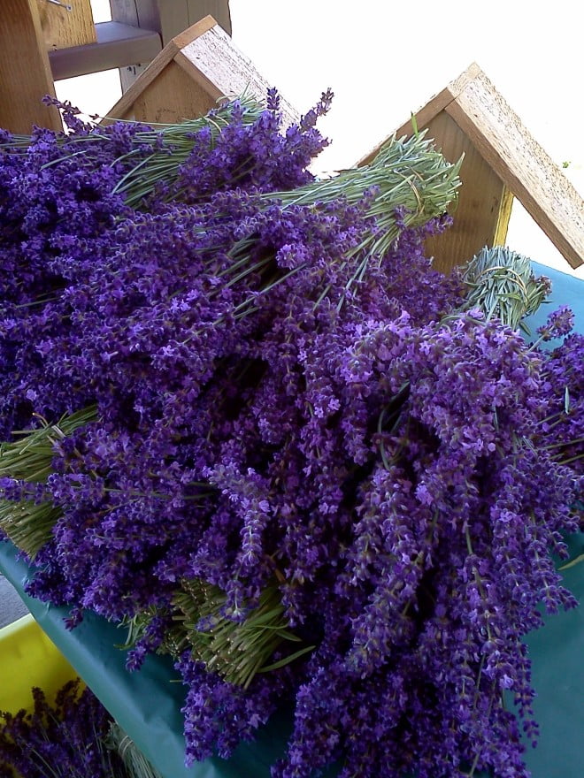 Buchete de levantica, Foto: stringtownfarms.com
