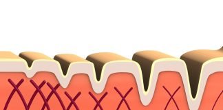 Colagenul si tot ce poate el insemna pentru piele Colagenul si tot ce poate el insemna pentru piele