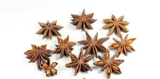 Plante medicinale - Anasonul stelat (Illicium verum)