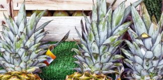 Ananasul – Proprietati si aplicatii terapeutice Ananasul – Proprietati si aplicatii terapeutice