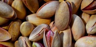 Fisticul – Un fruct gustos bogat in fibre si elemente nutritive Fisticul - Un fruct gustos bogat in fibre si elemente nutritive