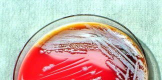 Agentii patogeni – inamicii sanatatii Agentii patogeni - inamicii sanatatii