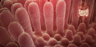 Boala celiaca – Intoleranta la gluten Boala celiaca - Intoleranta la gluten