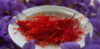 Sofranul (Crocus sativus), mirodenie cu proprietati medicinale Sofranul (Crocus sativus), mirodenie cu proprietati medicinale
