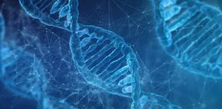 Ce este amprenta genetica, ADN-ul sau profilul genetic? Ce este amprenta genetica, ADN-ul sau profilul genetic