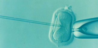 Afla in ce consta fertilizarea in vitro si care este primul copil creat in vitro!