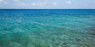 Ce beneficii are apa de mare și cum ajută sistemul imunitar