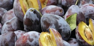 Fructele revigoreaza organismul vara Fructele revigoreaza organismul vara