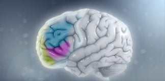 ADHD (Deficienta de Atentie Tulburare Hiperkinetica)