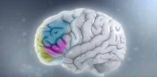 ADHD (Deficienta de Atentie Tulburare Hiperkinetica)