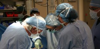 Transplantul de organe - intre inceputuri si organele autoconstruite