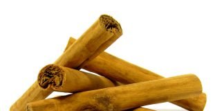 Arborele de scortisoara de Ceylon – scortisoara adevarata Arborele de scortisoara de Ceylon - scortisoara adevarata