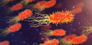 Bacterii bune si rele – ce sunt si cum se trateaza infectiile bacteriene Bacterii bune si rele - ce sunt si cum se trateaza infectiile bacteriene