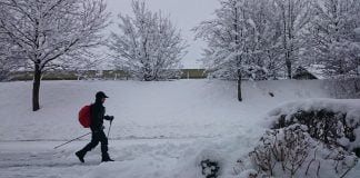 Nordic Walking, un sport ce da energie si inlatura depresia iarna