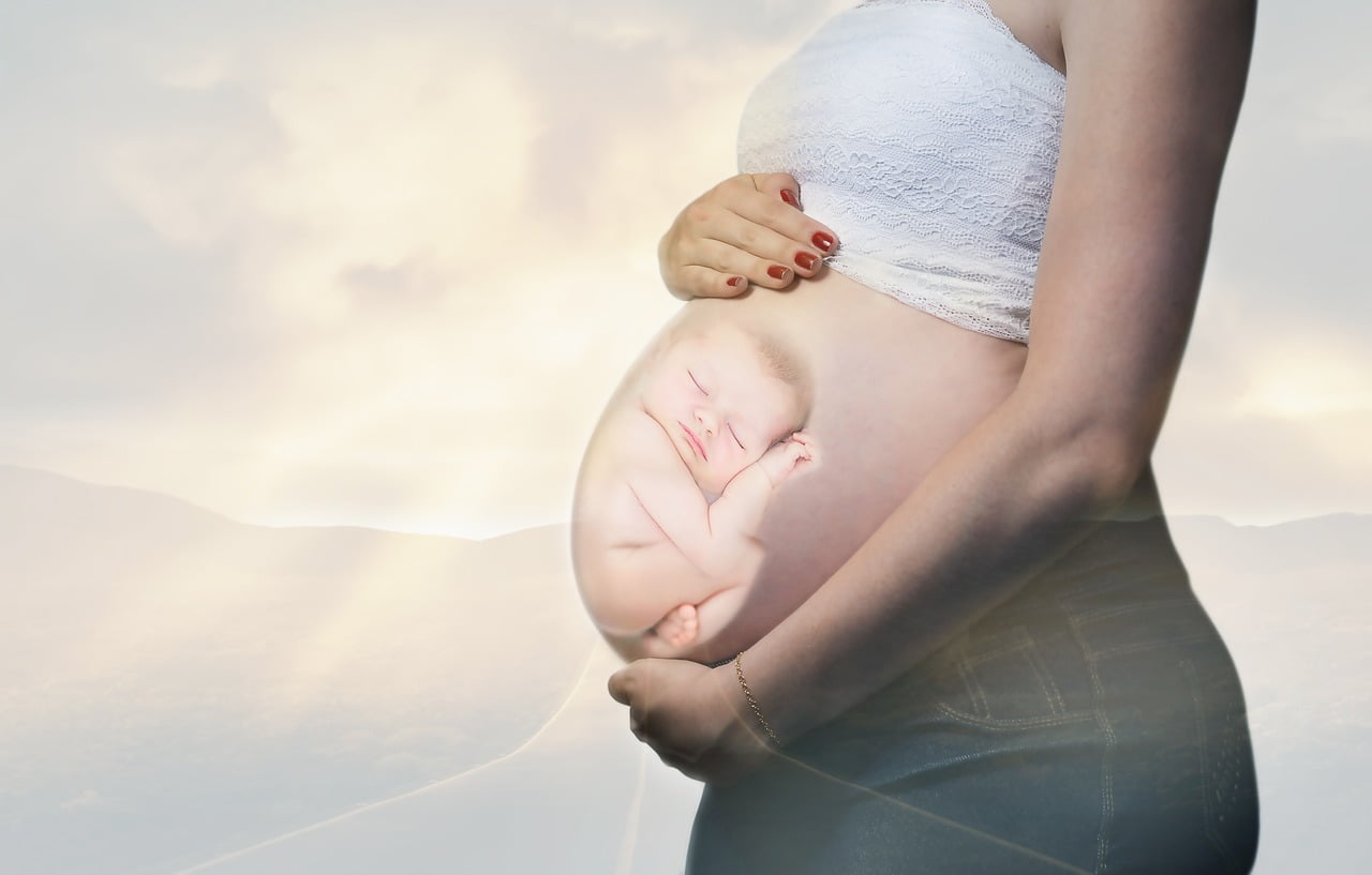 fetus