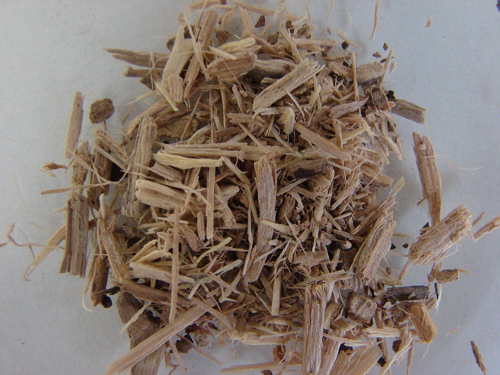 Ginsengul-siberian