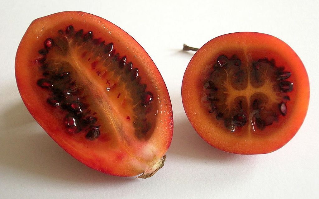 Tamarillo