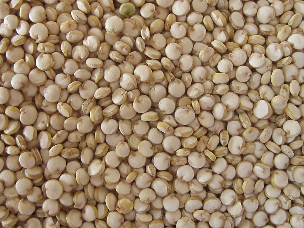 quinoa