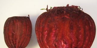 Cum consumam sfecla rosie pentru a extrage din ea maximum de proprietati utile pentru organism