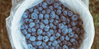 Topul substantelor antioxidante care mentin sanatatea si tineretea organismului nostru Topul substantelor antioxidante care mentin sanatatea si tineretea organismului nostru