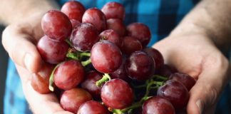 Dieta cu struguri te ajuta sa scapi de kg in plus si de tulburarile metabolice Dieta cu struguri te ajuta sa scapi de kg in plus si de tulburarile metabolice