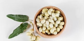 Proprietatile curative ale uleiului si fructelor de catina alba