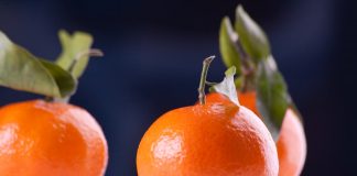 Vezi metode eficiente de a scapa de celulita si invata sa previi aparitia ei Vezi metode eficiente de a scapa de celulita si invata sa previi aparitia ei