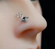 Piercing bijuterie pentru nas, Foto: etsy.com