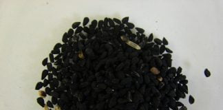 In ce terapii naturiste este folosit chimenul negru