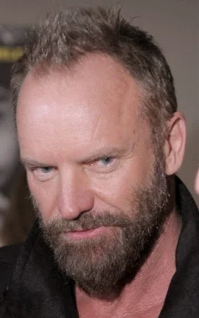 Sting cu o tunsoare moderna, Foto: modelatucabello.blogspot.ro