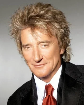 Tunsoare in stilul lui Rod Stewart, Foto: modelatucabello.blogspot.ro