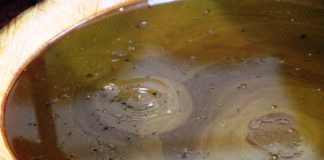 Descopera remedii naturale pe care le ai acasa pentru sanatatea si frumusetea ta!