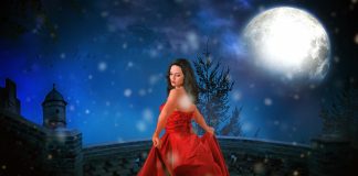 Care sunt modelele de rochii de seara pentru Craciun