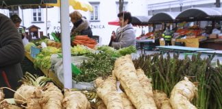 Hreanul, remediu excelent pentru tuse si antibiotic natural pentru organism