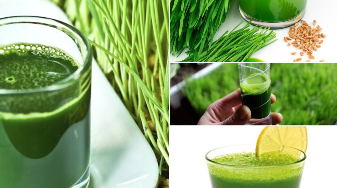2-suc-de-iarba-de-grau