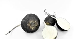 Afla de ce este atat de sanatoasa ridichea neagra pentru organism Afla de ce este atat de sanatoasa ridichea neagra pentru organism
