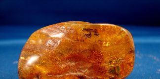 Amber - colier de chihlimbar recomandat ca remediu pentru dentitie