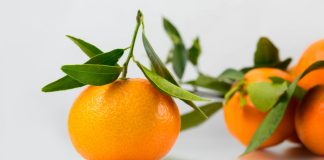 Cum ajuta dieta cu portocale la scaderea in greutate si vindecarea corpului