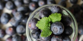 Dieta cu afine, secretul frumusetii si longevitatii