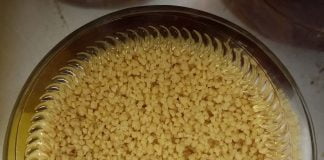 Afla de ce lecitina este foarte importanta pentru corpul uman